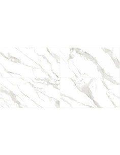 Gran Statuario Pulido 60 X 120 2