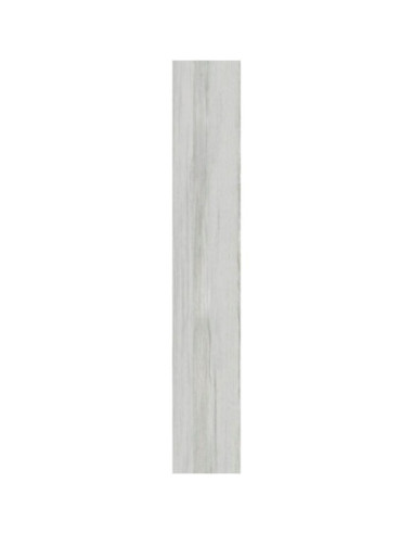 Betula Natural 20 X 120