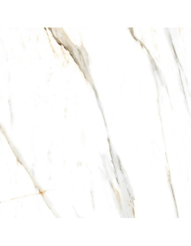 Calacatta Dior Pulido 55x110