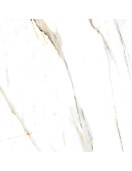 Calacatta Dior Pulido 55x110